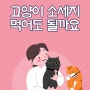 고양이 소세지 먹어도 될까요