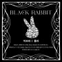2023 전시 🐰 Black Rabbit : 높이 그리고 멀리 🐰 참여작가 소개