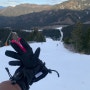 🇭🇺 슬로바키아로 워크샵 가는 김에 스키장에서 올해 첫 스키 타고 옴 (Jasná)