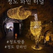 부산 대구 근교 여행으로 다녀오기 좋은 청도 감 와인 터널