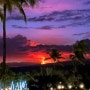 '세계 최대 활화산' 하와이 마우나 로아 터졌다