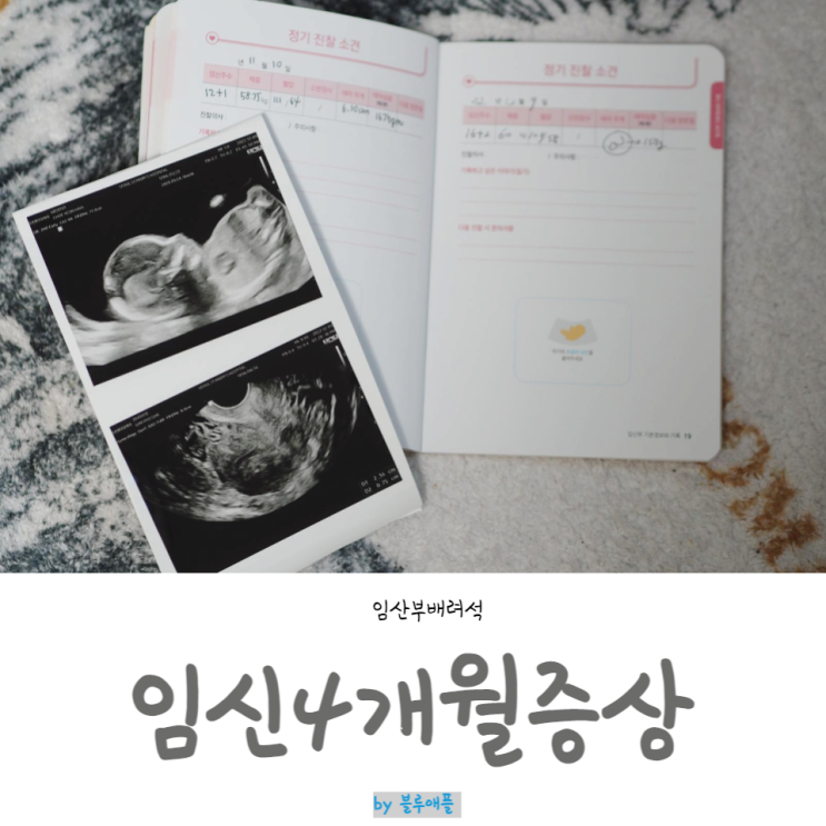임신4개월 증상 주수별 배크기 임산부 배나오는 시기 : 네이버 블로그