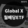 [미국주식ETF] 글로벌엑스 월배당 ETF (FYLG, HYLG, TYLG)