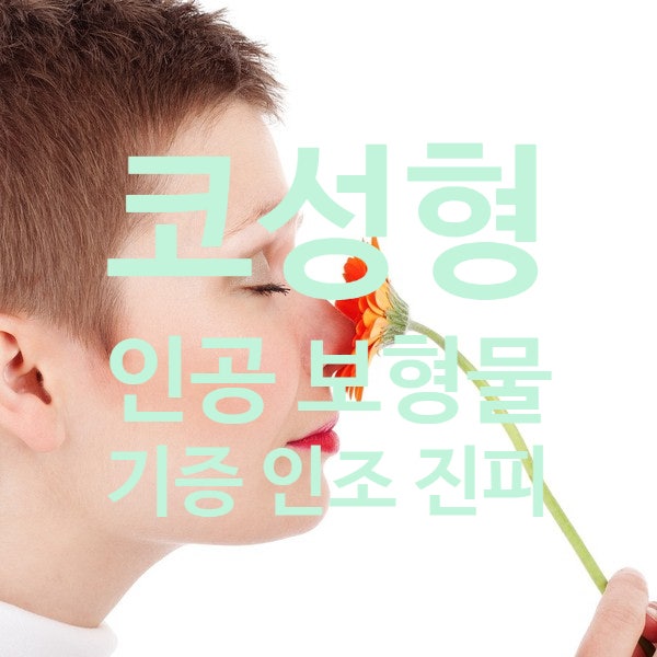 [코성형] 보형물이란? - 2.인공 보형물 (3) 인공 진피 인조 진피 기증 진피 - 코 성형 전 필수 지식 : 네이버 블로그