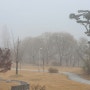 안개낀 관평동 수변공원 겨울풍경