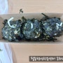 [동화랑요리] 폭탄주먹밥_220630
