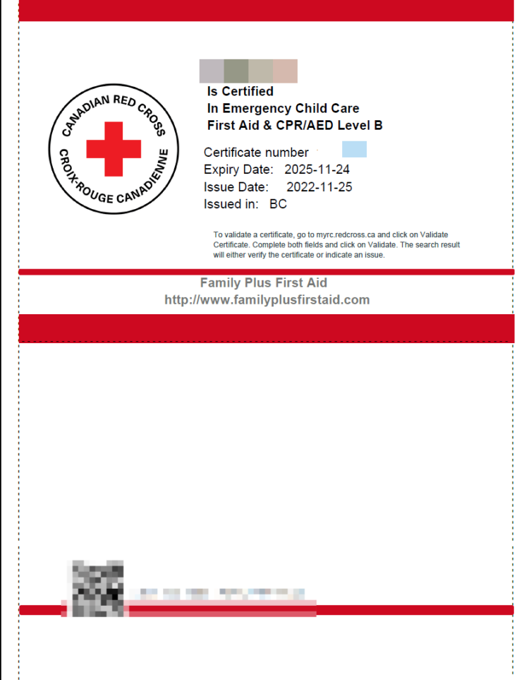 [캐나다/유아교사]ECE 취업 필수 First Aid &CPR/AED Level B 자격증 취득 : 네이버 블로그