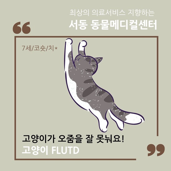 금정구고양이전문병원/고양이외과수술센터/고양이가 오줌을 잘 못눠요/오줌에 피가 섞여 있어요/고양이 FLUTD/서동동물메디컬센터 ... 금정구고양이전문병원/고양이외과수술센터/고양이가 오줌을 잘 못눠요/오줌에 피가 섞여 있어요/고양이 Flutd/서동동물메디컬센터 ...