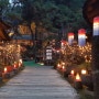 대전 근교 겨울 감성이 충만한 밤 풍경이 멋진 옛터민속박물관 & 만인산 자연휴양림