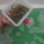 개구리알 워터비즈 즐거운 목욕놀이