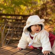 [경기/광주] 화담숲에서 맞이한 늦가을, 11개월 아기