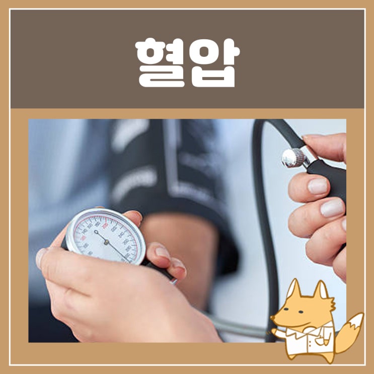 이완기 혈압 낮추는법 수축기 혈압 : 20대 고혈압 : 네이버 블로그