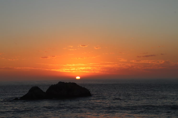 [Sutro Baths] 수트로 배스