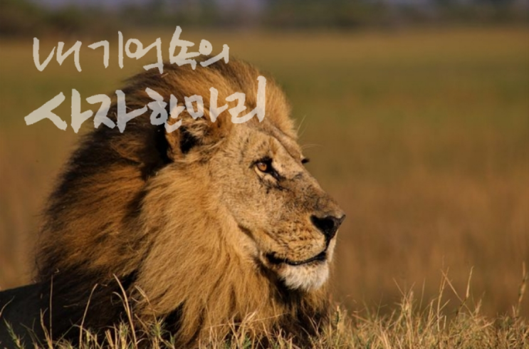 20221212끈기프로젝트_ 독서편 : 품위있게나이든다는것 : 네이버 블로그