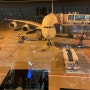 몰디브 신혼여행, 아랍 에미레이트 항공 기내식, 마일리지, 와이파이 비행 후기!