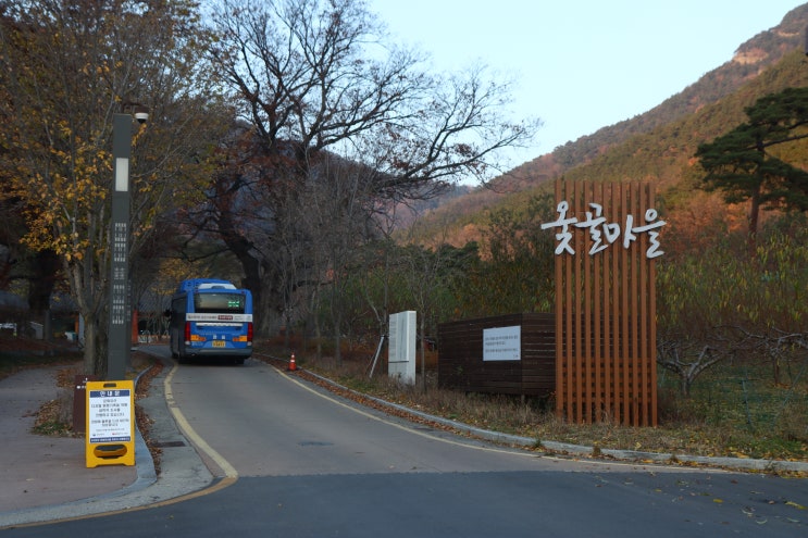 대구동구여행 [옻골마을]