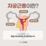자궁근종 원인 및 증상, 치료 방법은?