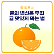 상큼상큼한 귤로 비타민 챙기면서 활용하는 방법