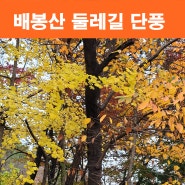 배봉산 둘레길 늦가을 단풍