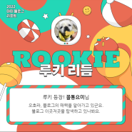 [2022 마이 블로그 리포트] 올해 활동 데이터로 알아보는 2022 나의 블로그 리듬