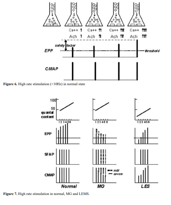 반복신경자극 검사(Repetitive nerve stimulation test) : 네이버 블로그