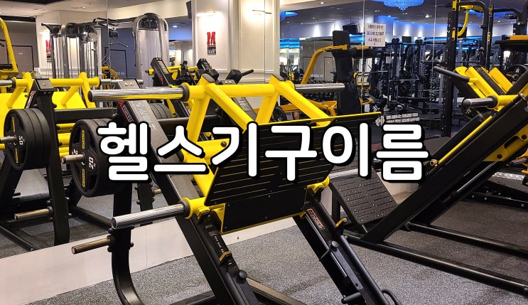 헬스기구이름 알아보기, 등 가슴 어깨 하체 부위별 머신 설명 : 네이버 블로그