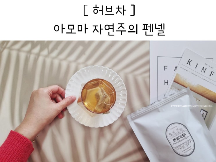 다이어트 허브 펜넬 회향 따뜻하게 마시는 차 : 네이버 블로그