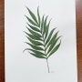 빈티지 그림 야자수 수채화 그리기, 쉬운 식물 그리는 법