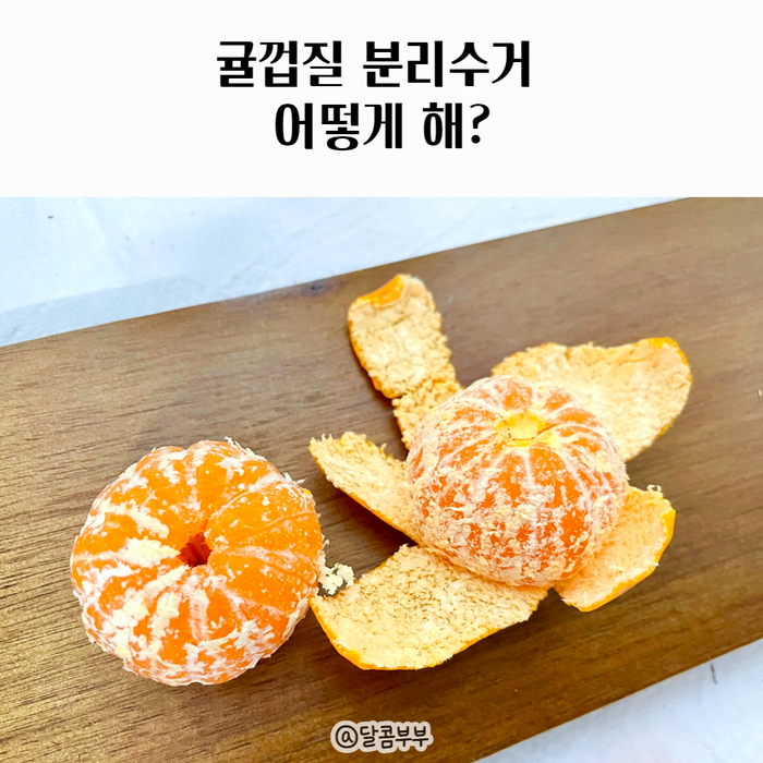 귤껍질 일반쓰레기 음식물 분리수거 어떻게 해? : 네이버 블로그