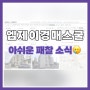 [패찰후기] 엠제이경매스쿨 12일, 13일자 패찰 후기 ㅠ