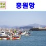 서천 가볼만한곳 홍원항 수산시장 서해 겨울바다 여행