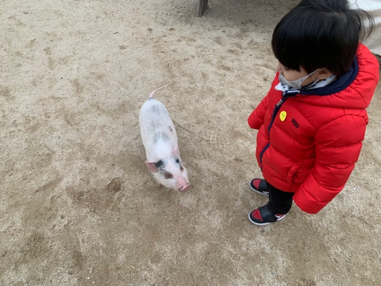 창원 진주 근처 아기와 동물 교감 체험장 - 진주 애니멀프렌즈...