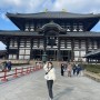 [일본여행] 오사카 가족여행 셋째날, 엄마랑 둘이 떠난 나라여행 : 나라 동대사, 우메다 회전초밥 뿌시기