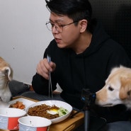 하림 유니짜장 강아지 짜장면 먹방 유튜브 싫어요가 찍힌 이유는