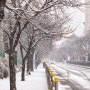 [시선] 눈이 펑펑 내리던 날, 거리를 걸으며
