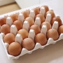 유기농달걀 등고개농장 유정란 자연방사계란 안심하고 먹을 수 있는 계란추천
