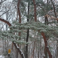 눈 오는 날에는 설경이 최고, 청계산 눈꽃산행