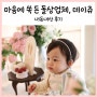소규모 돌잔치 아기 돌상 내돈내산 추천: 데이쥬