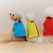 강아지겨울옷 메르꽁떼 리버시블 자켓 강아지옷추천 !
