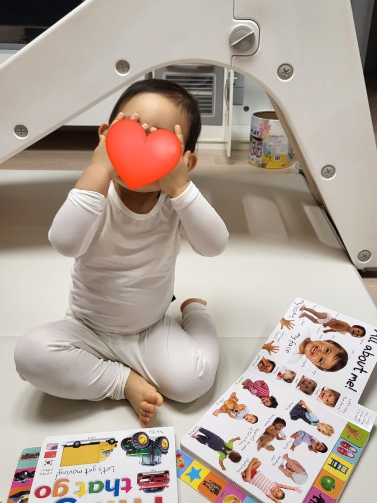 DK My First Collection 7종 세트, 아기 첫 영어 사전! : 네이버 블로그
