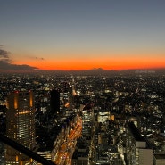 Tokyo Day -5📍시부야 스카이, 함바그 맛집, 시부야 요코쵸 🗼