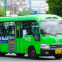 [교통분석] 노선버스 체계구분의 한계 - 마을버스와 시내버스 정류소 중복 제한의 문제점