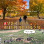 [캐나다 브이로그] 단풍국 캐나다의 가을 산책 브이로그 (feat.둥이아빠의 신통방통 개인기)