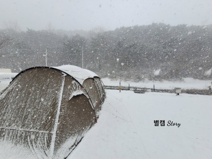 22.12.16~18 전북정읍일곱식구캠핑장 2번째방문 눈오는날...