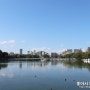 [20221103-1107]일본 후쿠오카&기타큐슈&야마구치 4박5일_오호리공원(스타벅스)