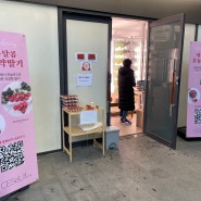 신품종 '고슬딸기' 판매 기념 시식회 후기