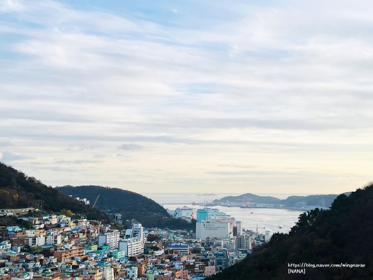 감천문화마을 분위기가 너무 좋아요. : 네이버 블로그