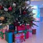 [크리스마스선물포장] 활기찬 색상으로 장식한 크리스마스 트리 밑 선물포장