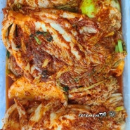 김장김치 칼로리 동치미 열무김치 파김치 깍두기 배추 겉절이 열량 알아보기