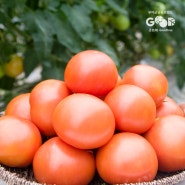 [쿠팡지기] 우리네농산물 12월 4주차 추천상품 - 토마토